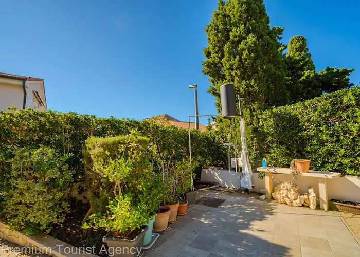 Olive Lavender * Mandre