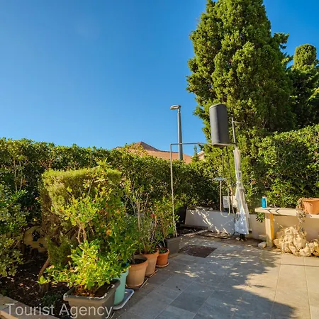 Olive Lavender Mandre